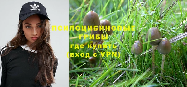 гидропоника Магадан