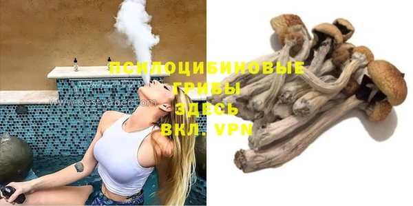 ешки Бикин