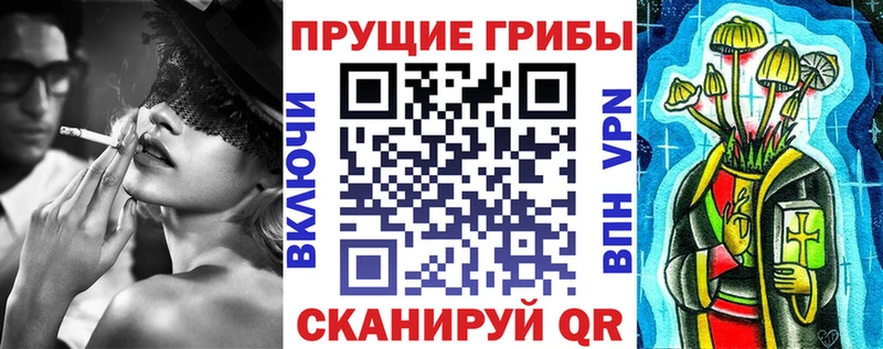 дарнет шоп  Ильский  Псилоцибиновые грибы прущие грибы 